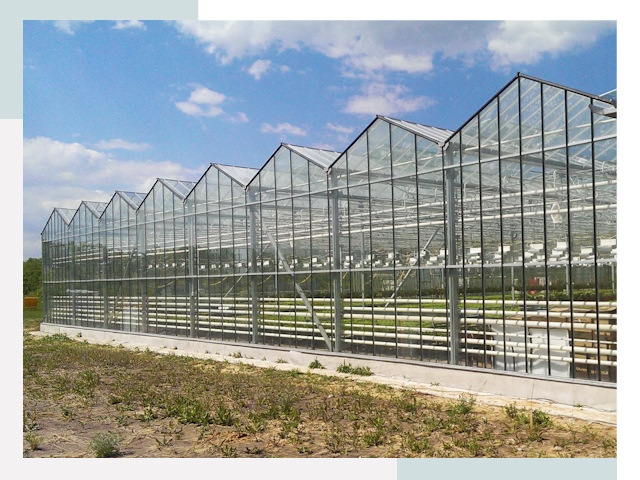 Строительство теплиц в Саяногорск от 615 руб. за м²
