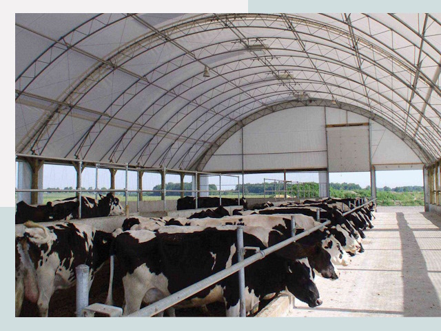 Тентовые коровники в Саяногорске